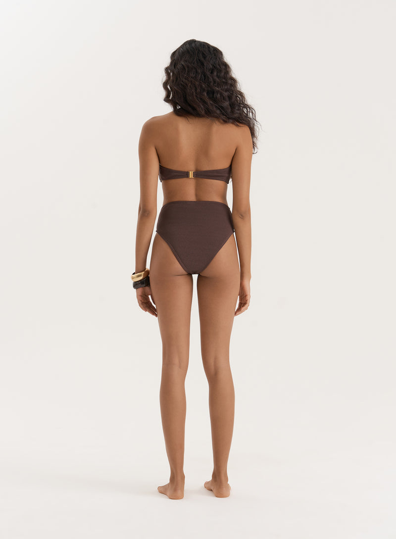 Chesnut Brown Crinkle High Waisted Bikini Bottom- Rivia